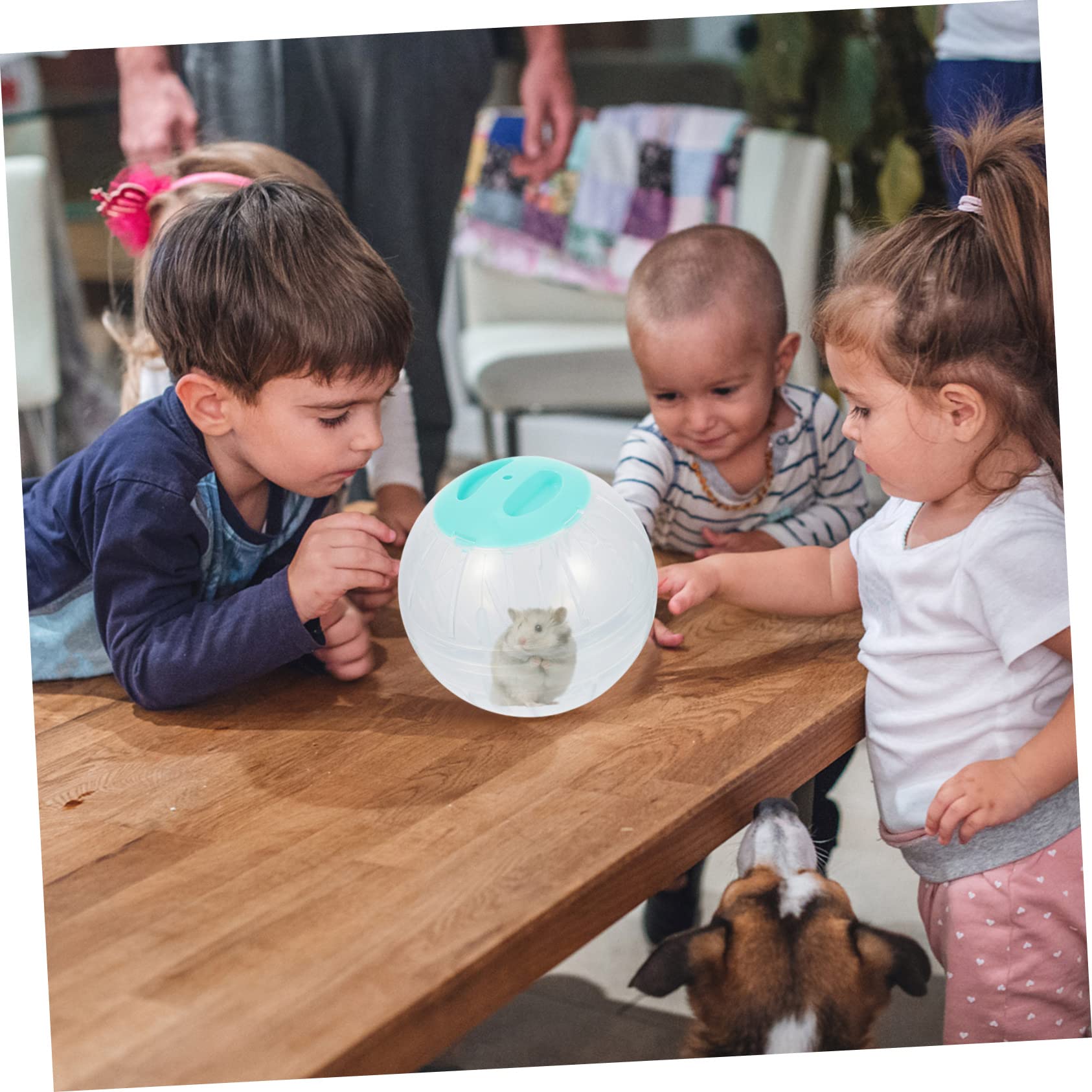 4stücke Hamster Übungsball Transparente Laufkugeln Für Kleine Haustiere Langlebig Und Tragbar Für Hamster Mäuse Und Kleine Igel Fitness Spielzeug
