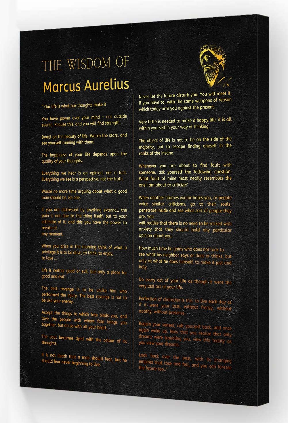 Neteydey Marcus Aurelius Poster Canvas Framed Inspirational Pictures Wall Art Retro Prints Marcus Aurelius Quotes Wall Art Painting for Living Room Decor (16x24in,Framed)