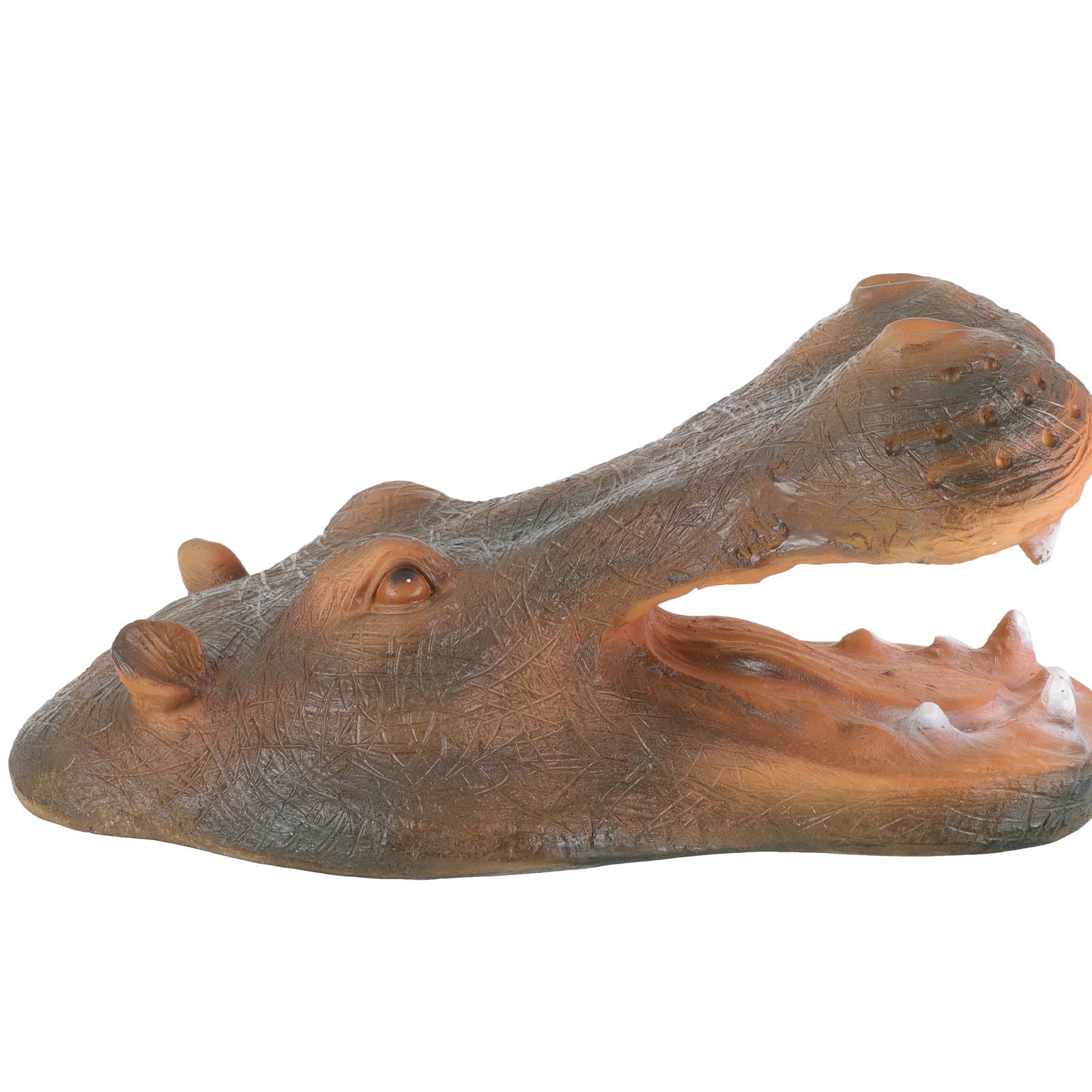 Tête d'hippopotame Mikikit pour égayer un bassin vide avec une déco flottante