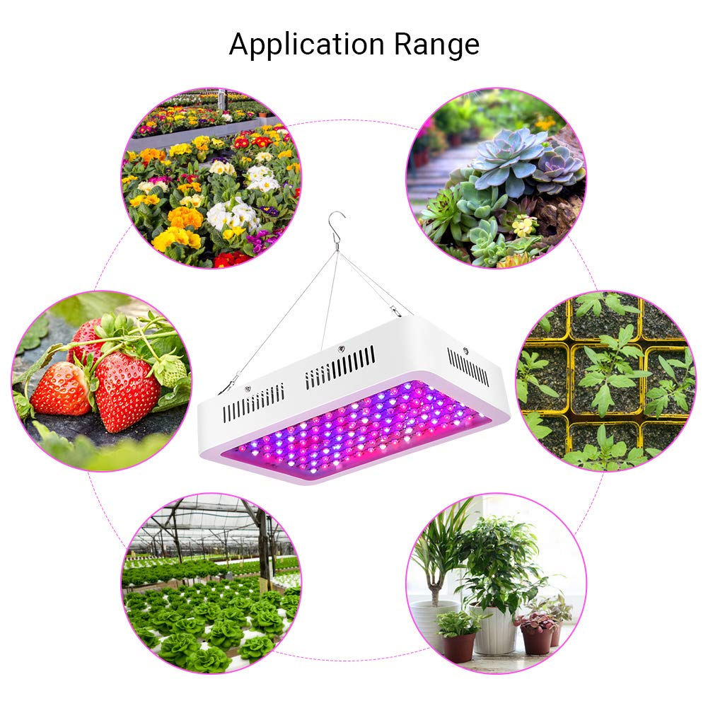 EU 100‑240Vac 1200W Led Plant Grow Light Espectro Completo Interruptores Dobles Luz De Planta para Plantas De Interior Vegetales Y Flores
