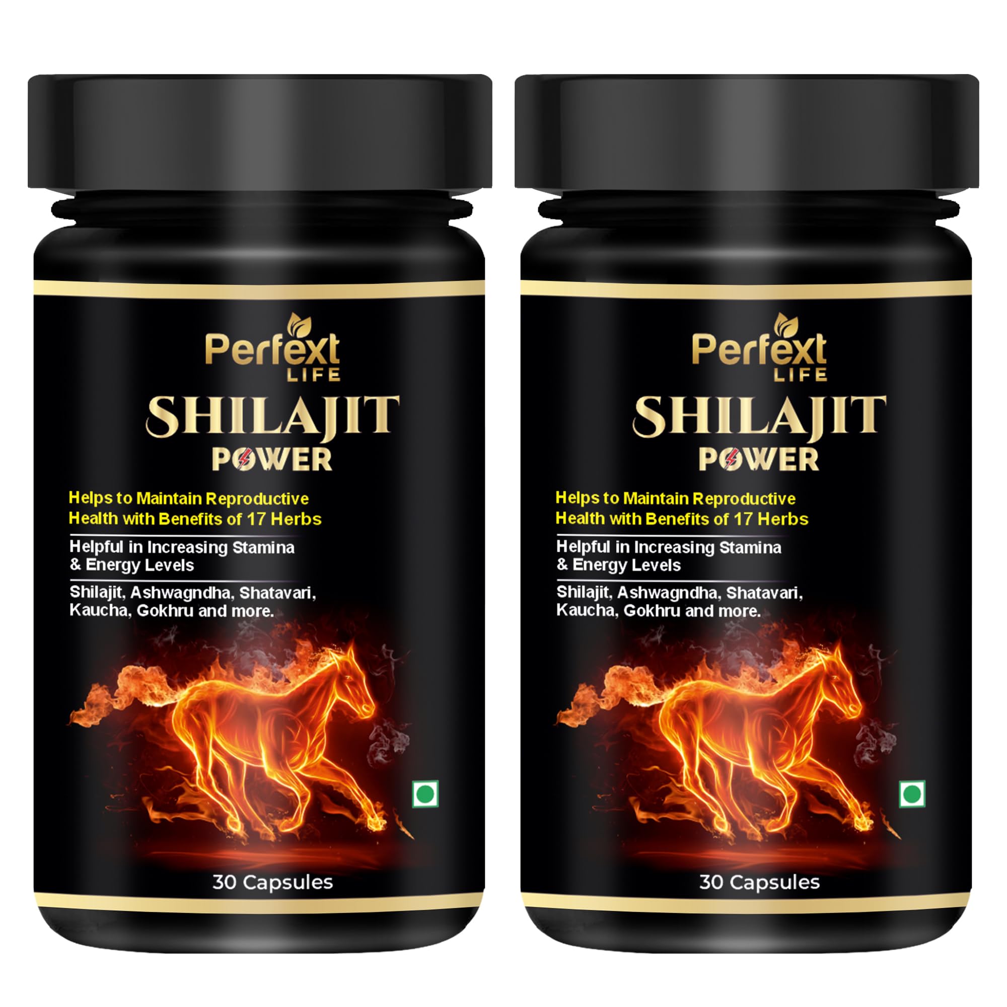 Perfext Nutraceuticals Power Capsule For Men Ayurveda Helps to Increase Strength with the Goodness of Shilajit Pack of 2 (60 Capsule)