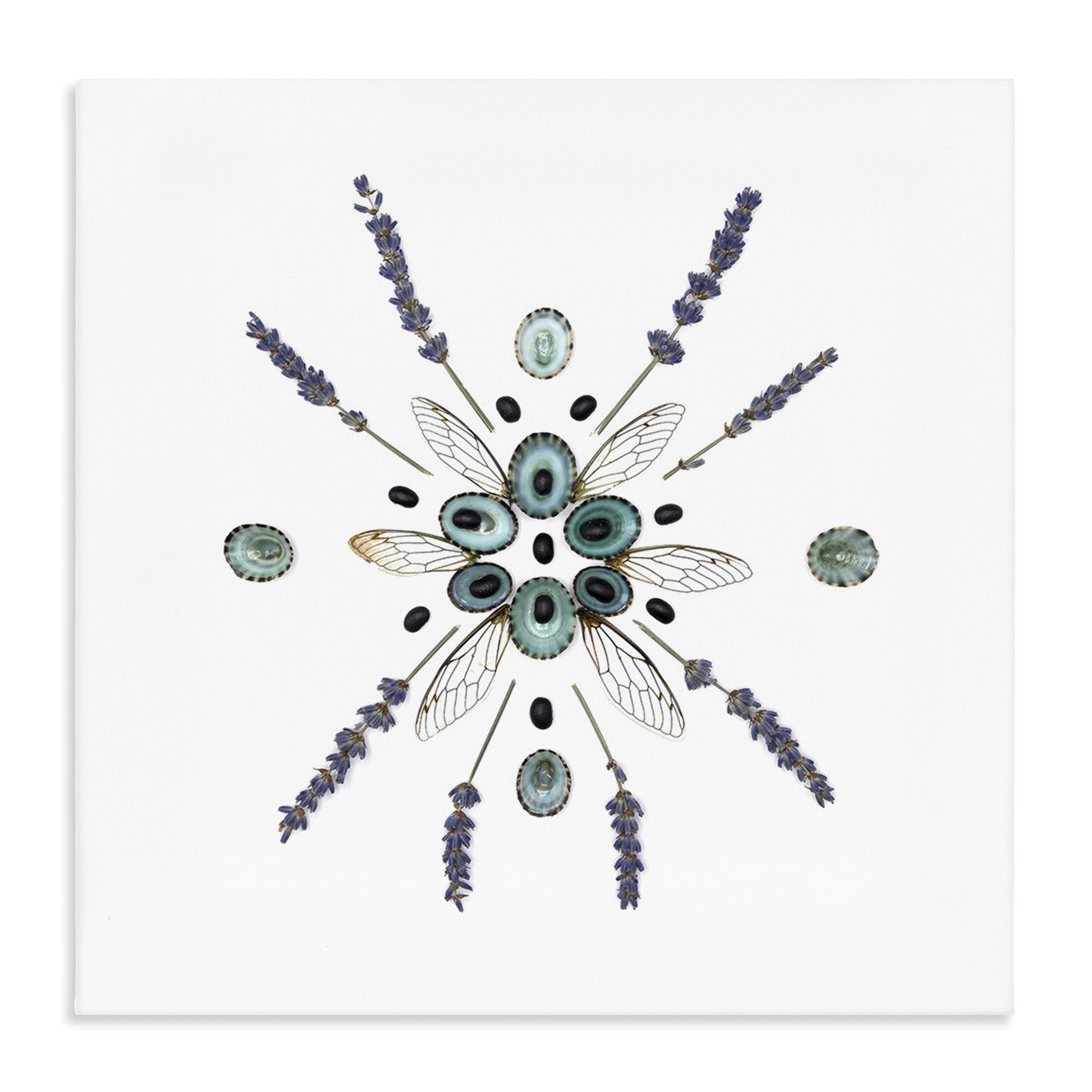 Stupell Industries 'Lavender & Delicate Wings', Canvas Art, 30 x 30 Inches, Easy to Hang and Sturdy, Made in USA, by Beth Adoette