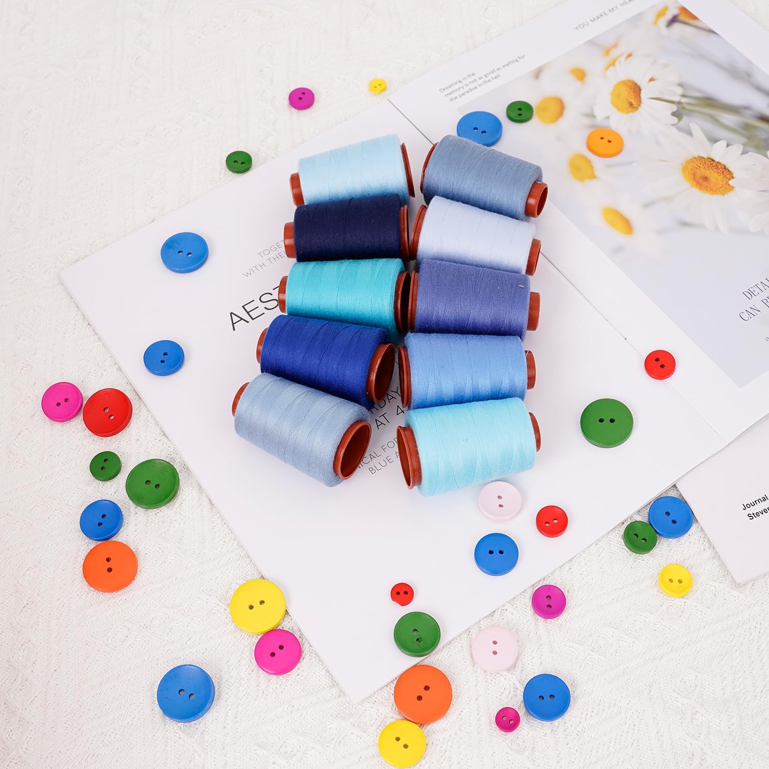10 Pcs Sewing Thread Set, All Purpose Sewing Thread, 10 Spools Assorted Colors Each 800 Yards of Polyester Threads for Sewing Machine, Hand Stitching, Quilting, Serger (Blue Color System)