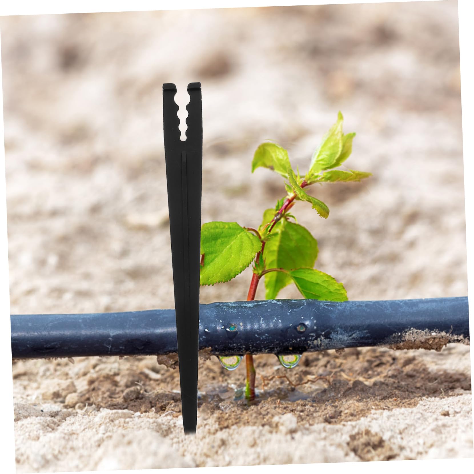 Happyyami 5 Juegos Apoyo Fuerza Drenar Poste De Riego Herramientas De Jardinería Manguera Retráctil Ampliable Estaca De Ancla De Riego Rociar Goteo Agua El Plastico Black 100 Uds * 5