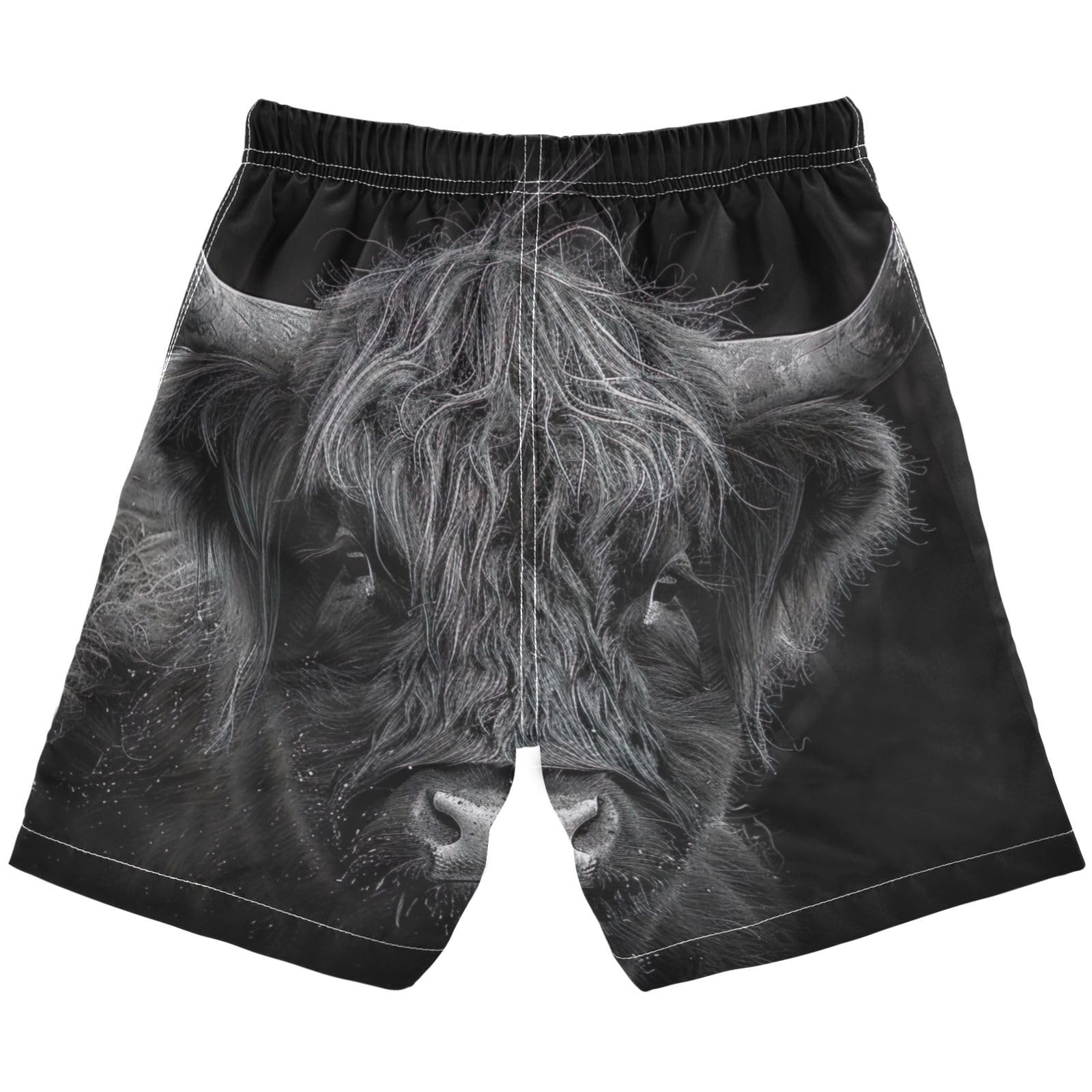 FULUHUAPIN Boys Quick Dry Highland Cattle Cow Swimsuit 20325061