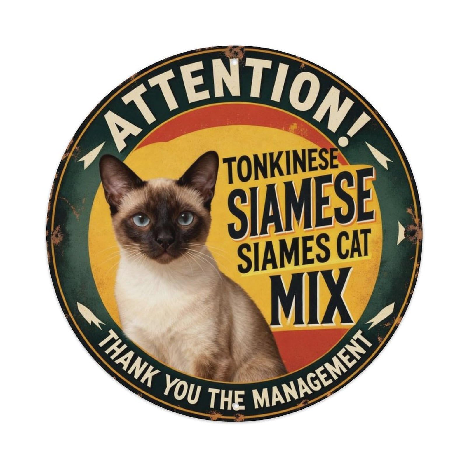 Tonkinese Cat Siamese Mix Metal Tin Sign Plaque