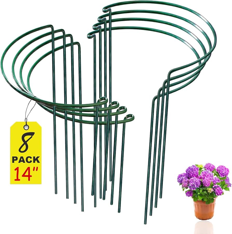 Amazon.com : WooWellGoGoGo 8 Pack Snake Plant Support Stakes