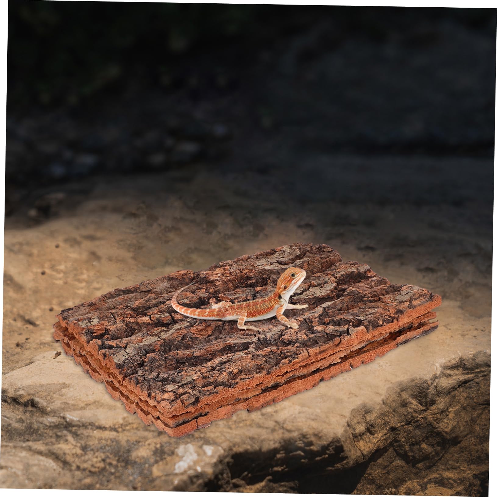 Housoutil 3 Stück Terrarium Zubehör aus Baumrinde mit Kletterplattform Natürliche Rindendekoration für Reptilienboxen und Schildkröten Realistisch