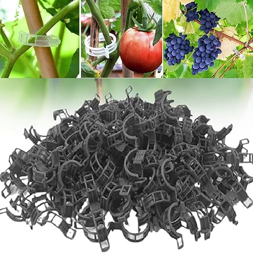 Miniatura 8 de Clips de soporte para plantas, 100/150/300 clips para plantas trepadoras, transparentes para tomate y uva, clip de soporte para plantas, clips