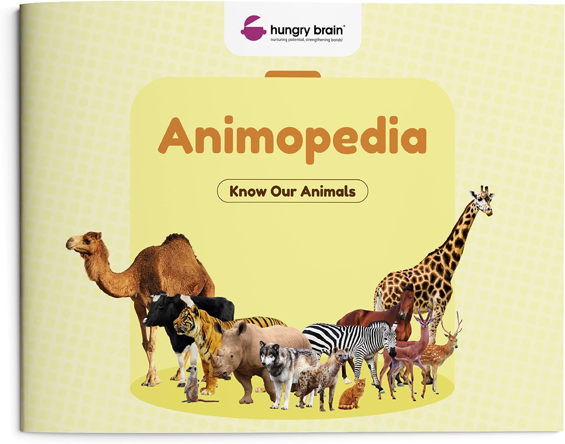 hungry brain Animopedia Early Learning Educational Picture Books For Kids 1 years+ | Gift For Babies | Know about Animals fun interactive animals book for children