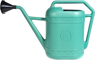 ANNAFFIATOI OVALI PLASTICA COLORATA