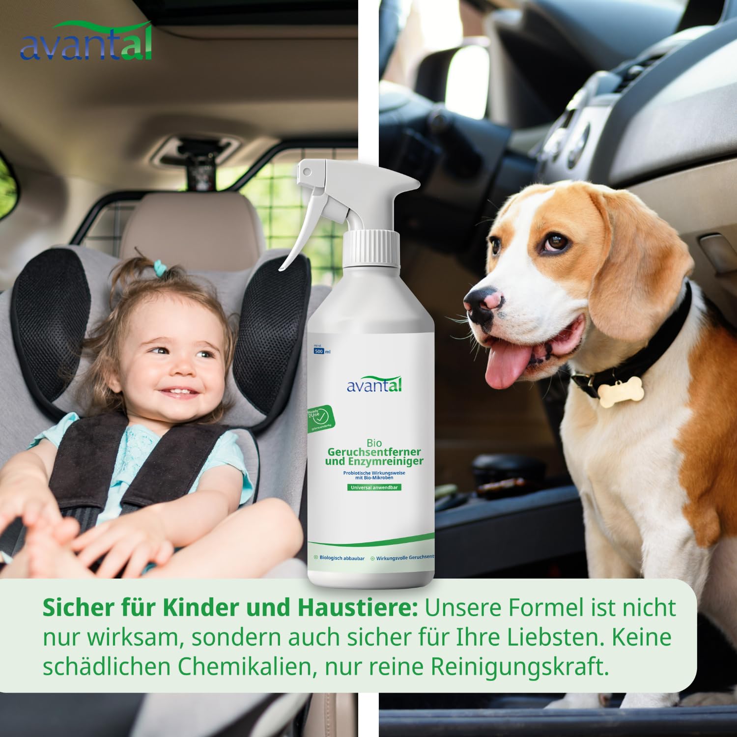 Neutralisateur d'odeurs | puissant désodorisant et nettoyant enzymatique 500 ml – Contre l'urine de chat, spray anti-urine pour chien, contre les odeurs désagréables dans les pièces, les