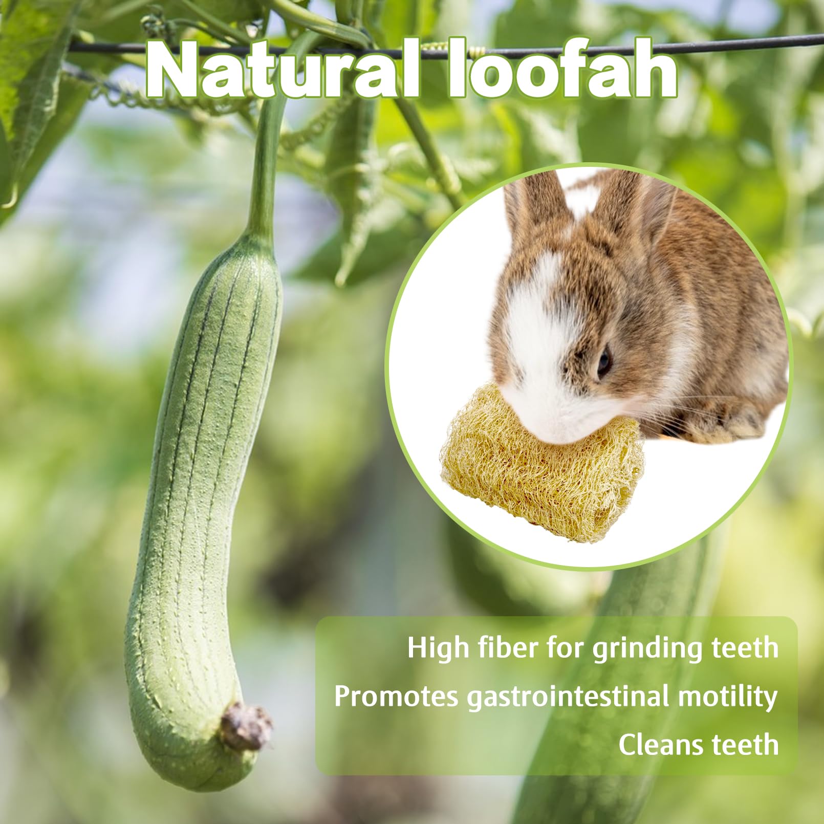 BNOSDM Giocattoli da masticare in luffa naturale per coniglio, giocattolo per la macinazione dei denti del coniglio, ricchi di fibre, accessori per l'intrattenimento per conigli e cincillà, 6 pezzi
