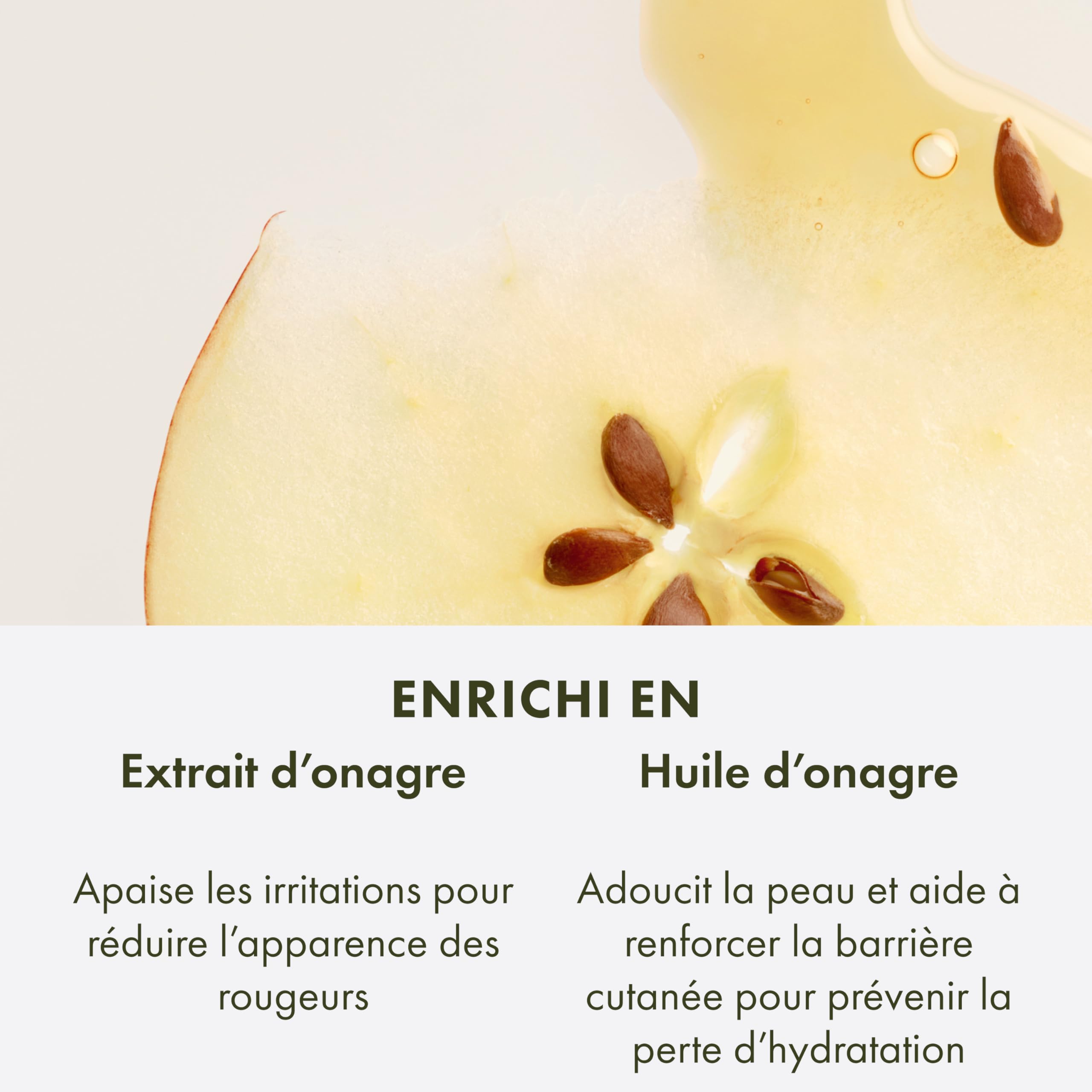 Origins Mega-Mushroom crème de nuit régénérante, Pour une hydratation nocturne en profondeur et une réduction des rougeurs visibles, Contient du champignon Reishi, 50 ml
