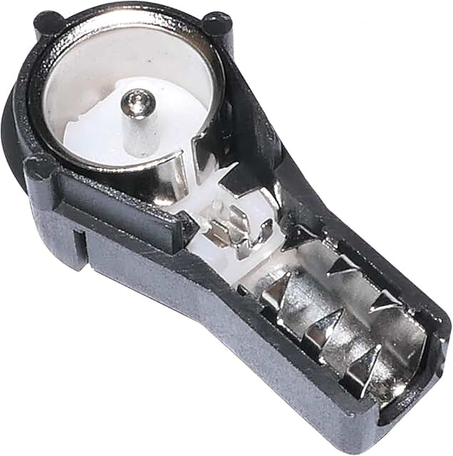 Amazon.it Antenna Autoradio