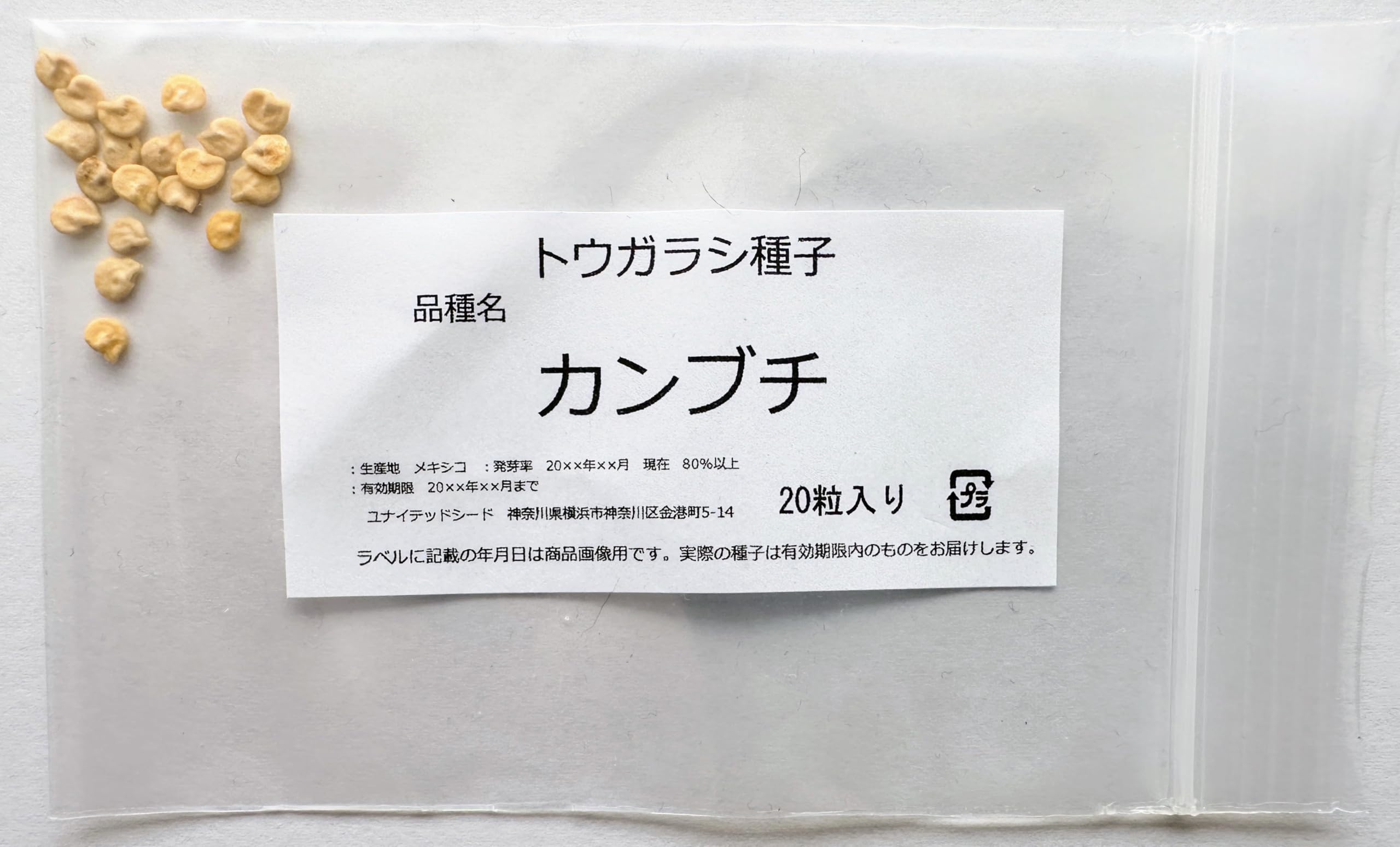 トウガラシ種子 （ピメンタ・カンブチ） (種子6g入り（約1000粒）) Amazon.co.jp: トウガラシ種子 カンブチ Pimenta Cambuci（ピメンタ