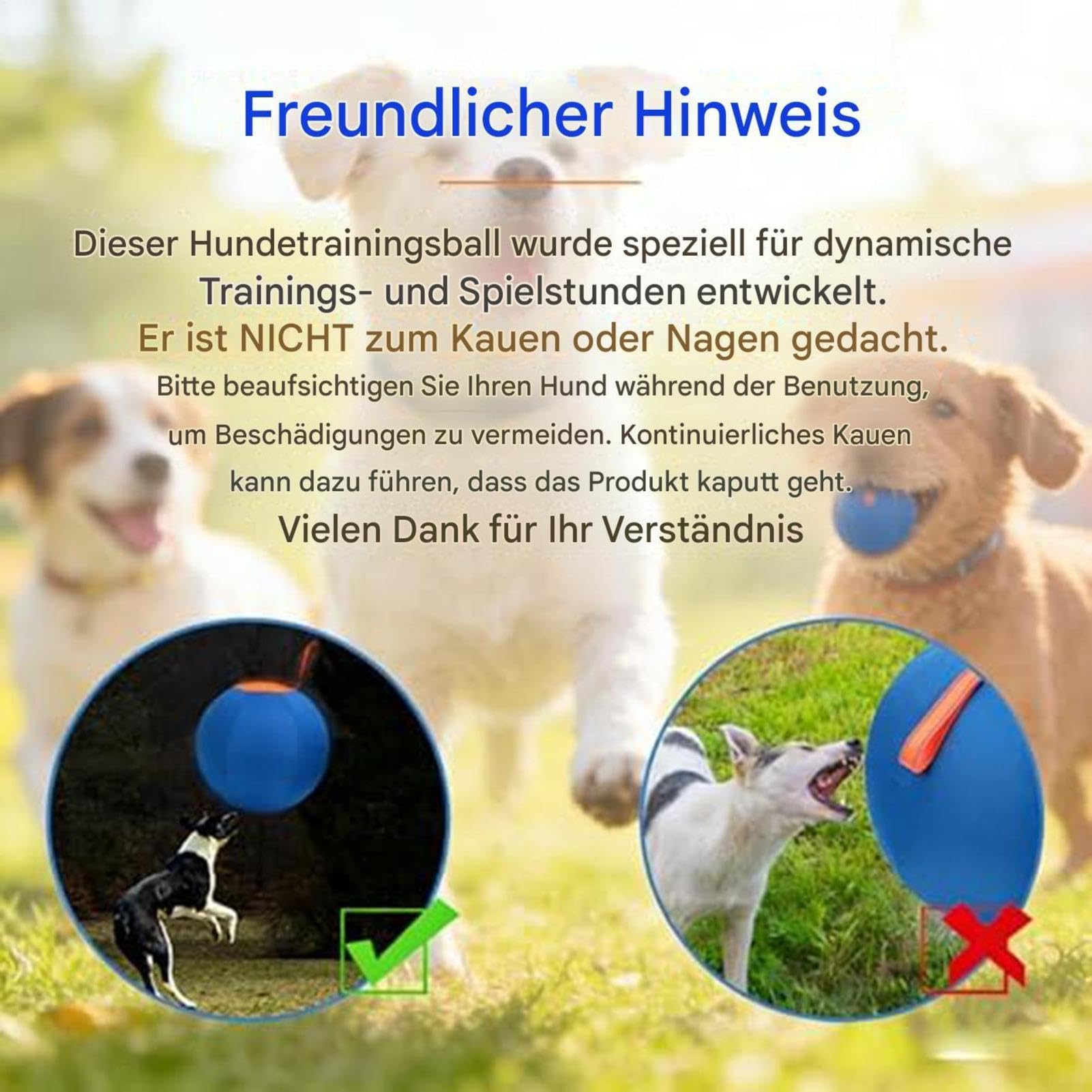 Balón hinchable de poliéster, pelota de juego interactiva, resistente al desgarro para mascotas, juguete de entrenamiento para perros, actividades al aire libre | pelota de rodadura duradera para