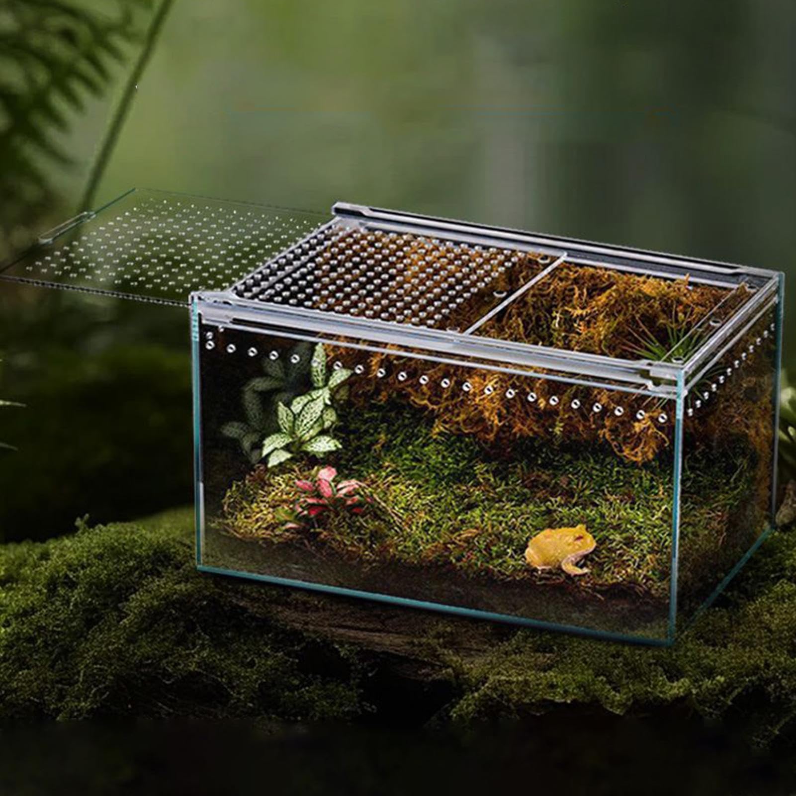 Terrarium Dla Gadów Akrylowe Terrarium Odporne Na Ucieczkę Dla Gadów | Terrarium Dla Tarantuli I Pająków Skaczących Do Wnętrz Na Biurko W Domu I Biurze Dla Płazów Jaszczurek