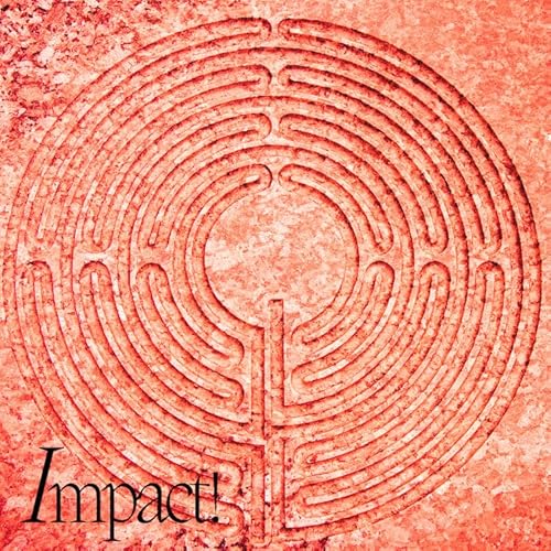 Emergency Episode with Ellen and Chris Katzenmeyer: Contemplative Labyrinth Activism in a Time of Turmoil