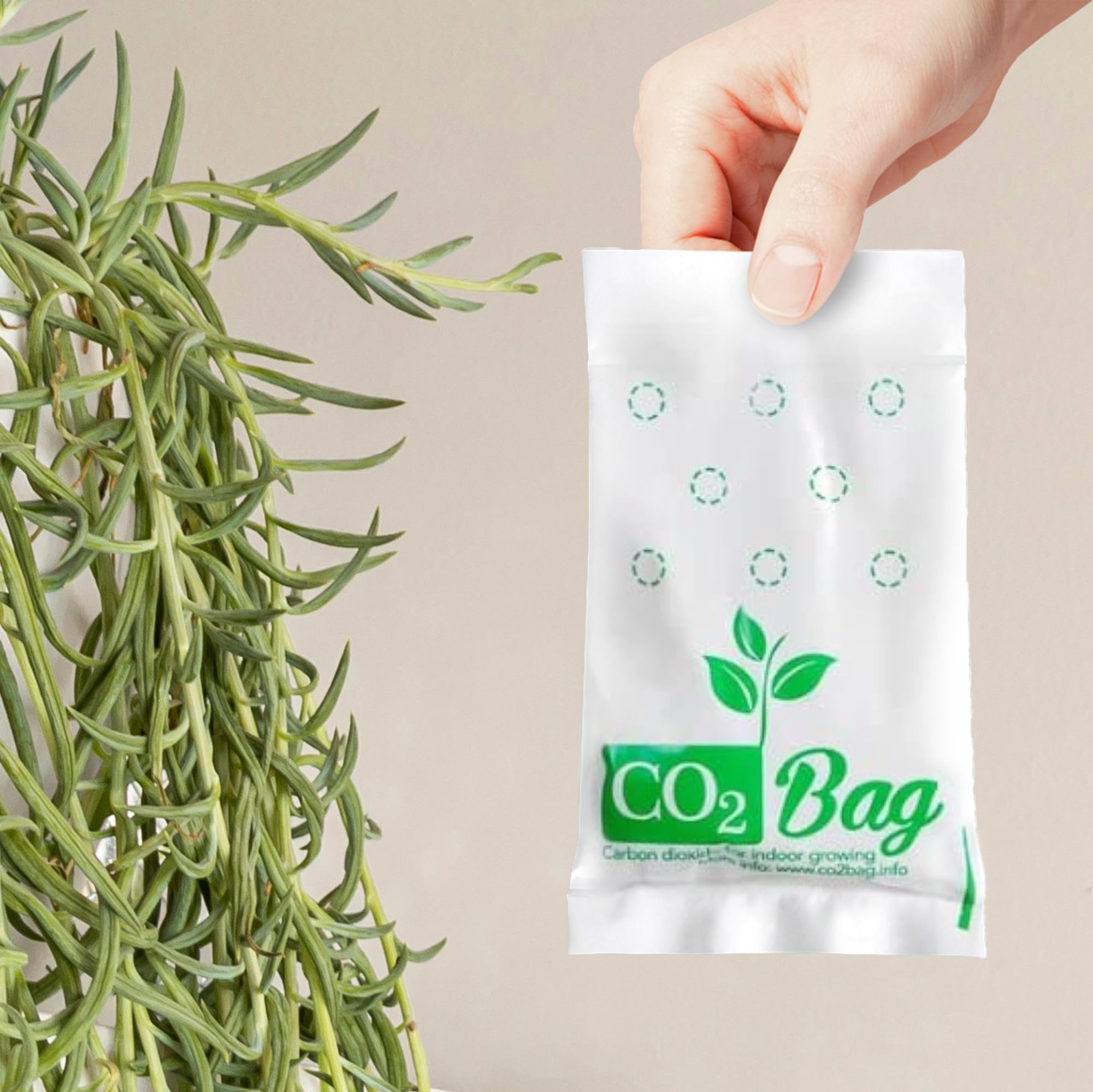 CO2bag Pour une croissance vigoureuse des plantes (lot de 2 - taille M) - Améliore le goût, la couleur et le rendement de la récolte - Compact, sans entretien et sans danger - Pour les serres jusqu'à