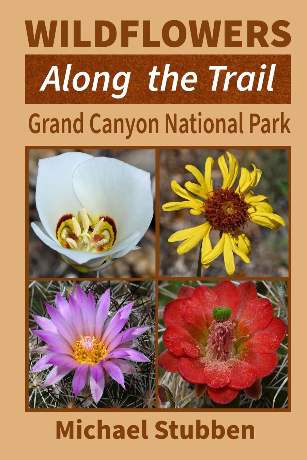 Wildflowers Along the Trail: Grand Canyon National Park