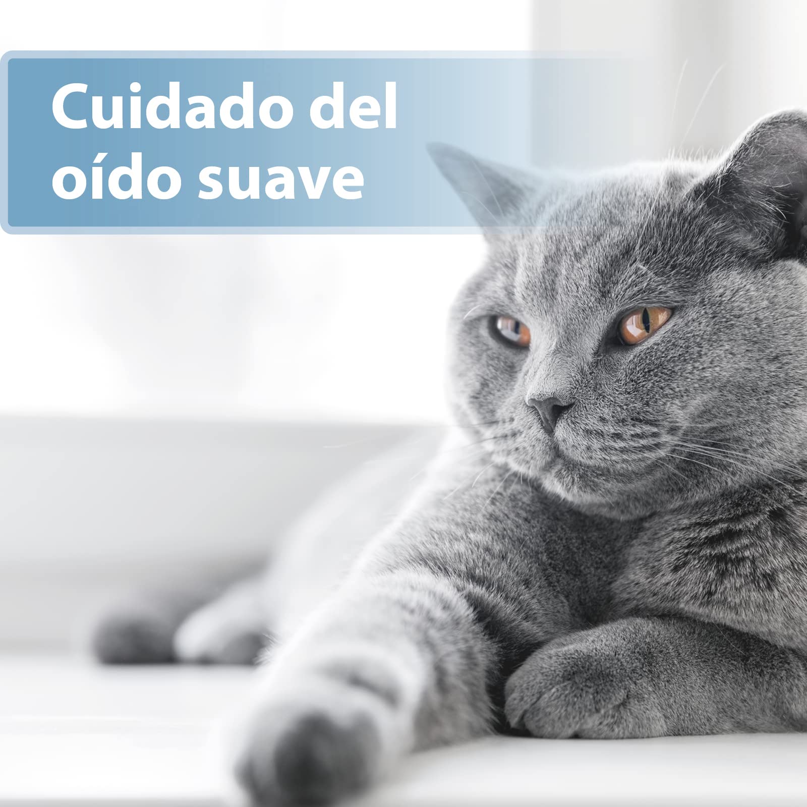 Felisept Almohadilla Para El Cuidado de los Oídos Para Gatos 50 piezas - Cuidado e higiene para orejas de gato - Alevines para una limpieza práctica e intuitiva - Limpiador de oídos para gatos