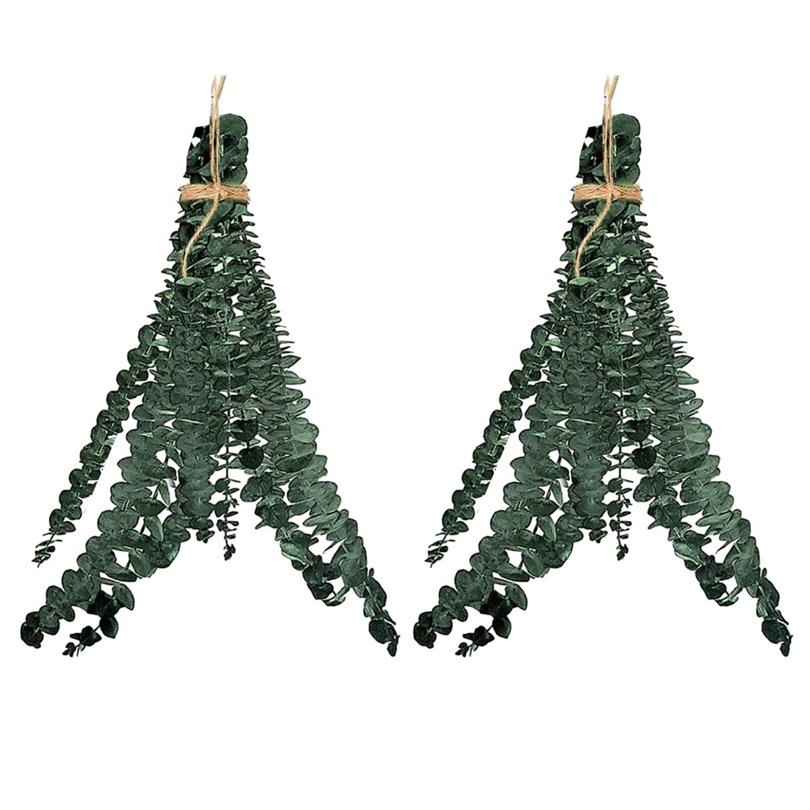 Eucalyptus séchées naturelles 43cm déco intérieur maison