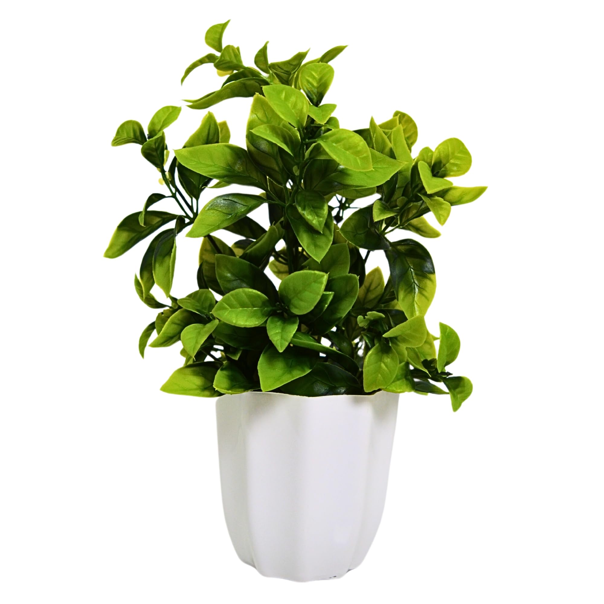 fancymart Artificial Plant Leaves in Pot Perfect Potted Decoration for Home Living Room & Office Spaces Height - 30cm (B0D5QDNV86) Amazon Price History, Amazon Price Tracker