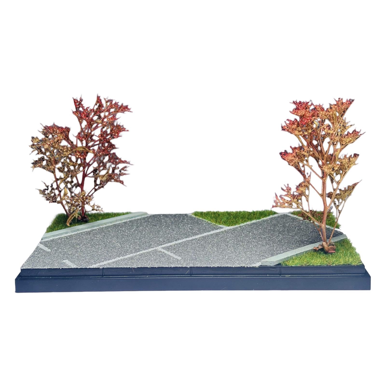 Vetrina per Modellini di Auto in 1:64, Scatola Portaoggetti per