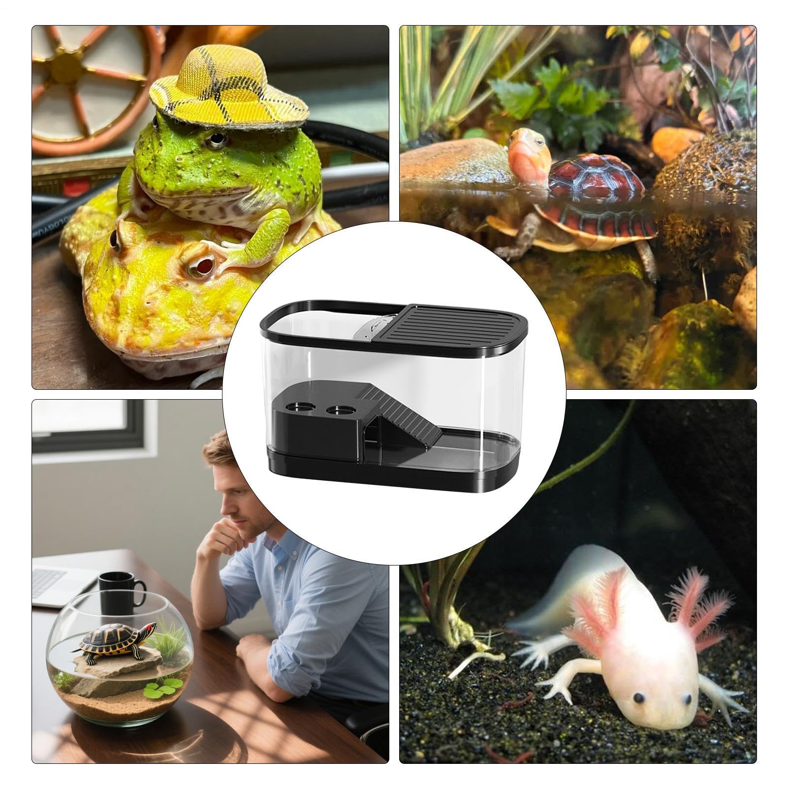 Acuario para Tortugas Terrario Recinto Hábitat Evita Escapes Cría | Hábitat con Plataformas de Asolamiento para Exterior, Cría, Mascotas, Geckos, Serpientes, Lagartos, Ranas, Tortugas y