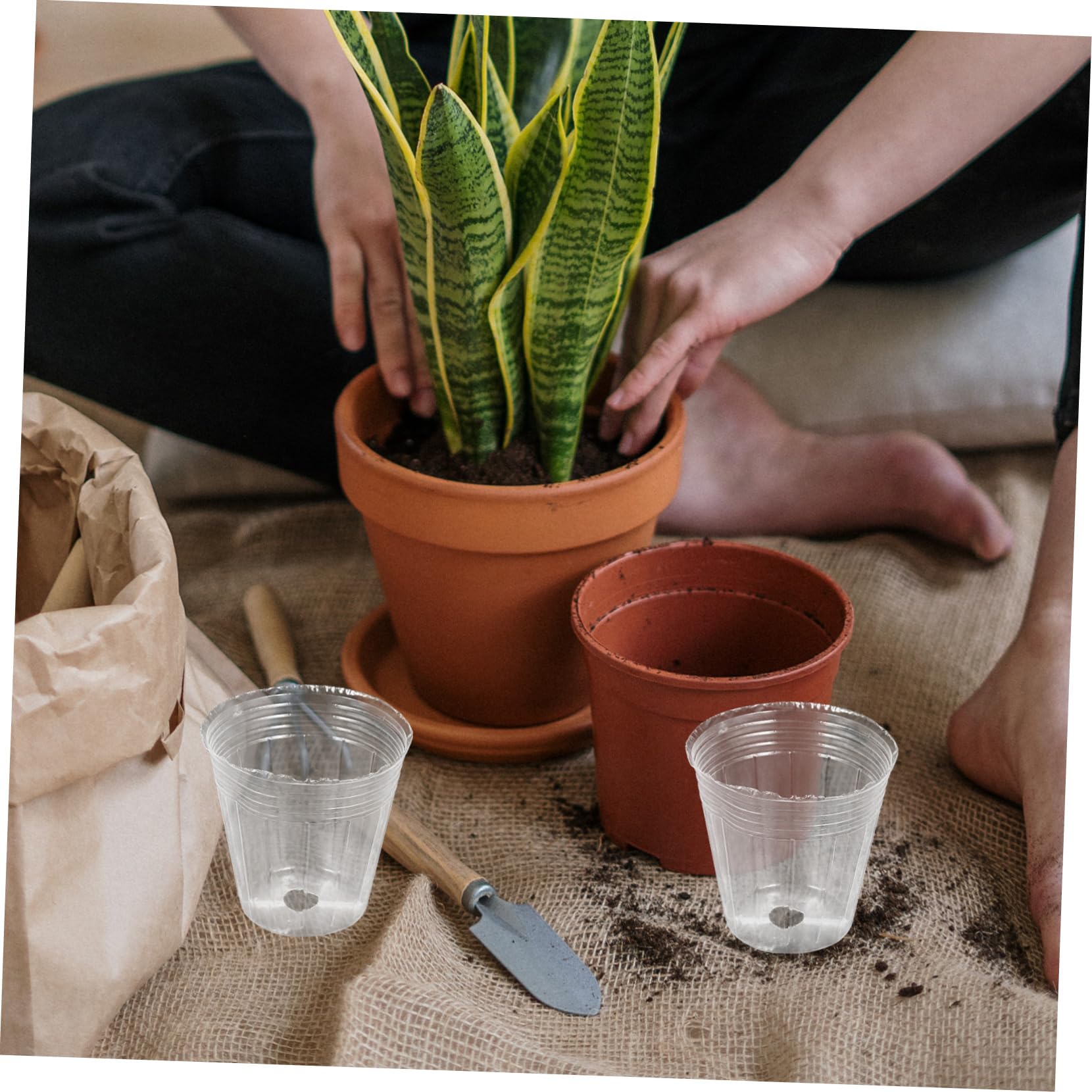BESPORTBLE Lot De 4 Petits Pots De Pépinière en Plastique PP pour Plantes Succulentes Et Orchidées Drainants Et Respirants 50 Pièces X 4