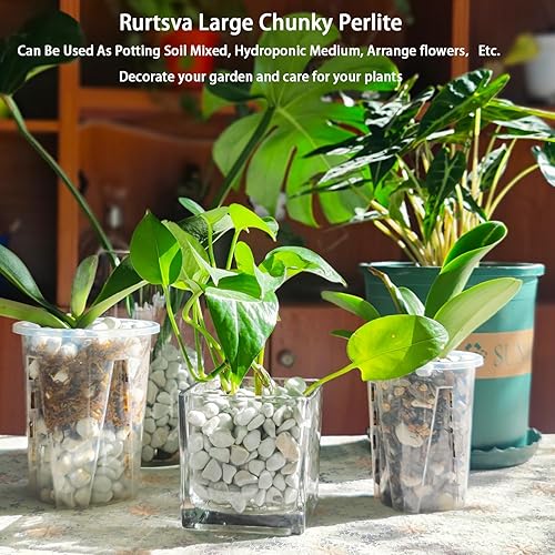 Miniatura 6 de Perlita gruesa orgánica natural de 0.4 a 0.8 pulgadas para plantas hortícolas de perlita gruesa a granel, mezcla para macetas de jardín, enmienda