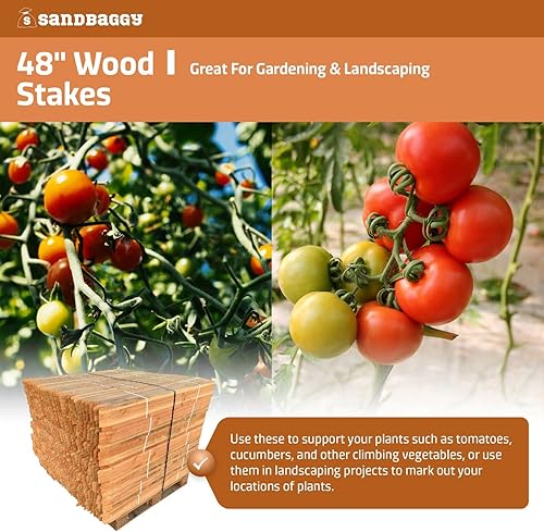 Miniatura 7 de Sandbaggy Estacas de madera de 48 pulgadas - Estacas resistentes para construcción, jardinería topografía - Punta de cincel, madera de abeto Douglas