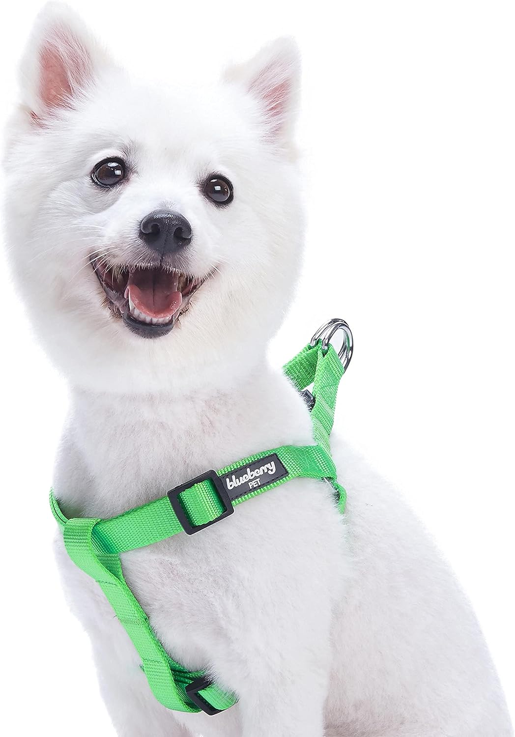 Blueberry Pet Essentials Bundle Set - Small Neon Green Dog Collar + Chest Girth 16.5-21.5" Harness