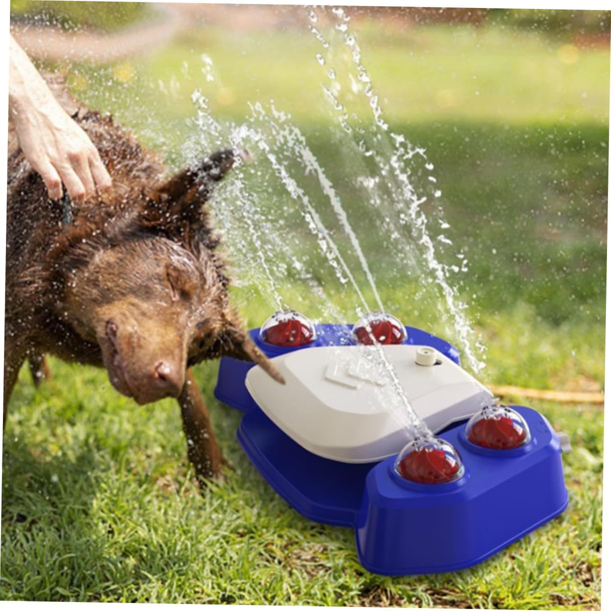 Automatic PET Water Fountain Dog Shower Plaything Water Sprinkler and Spray Toy Versatile Design for Indoor and Outdoor Use Material Suitable for Dogs and Cats