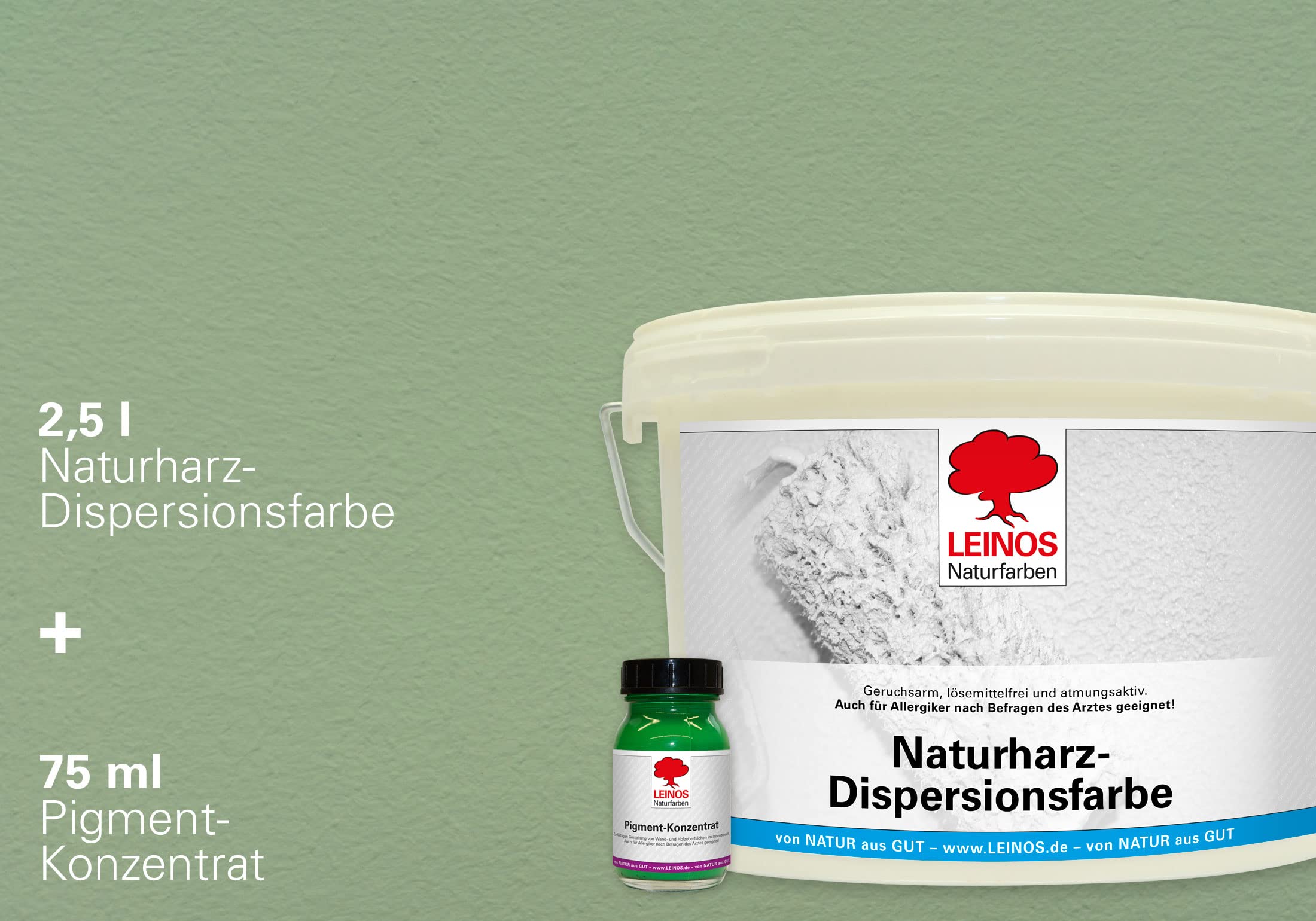 LEINOS Set de pintura para paredes (2,5 l, resina natural de emulsión 660 + 75 ml, pigmento concentrado 668.329), color verde