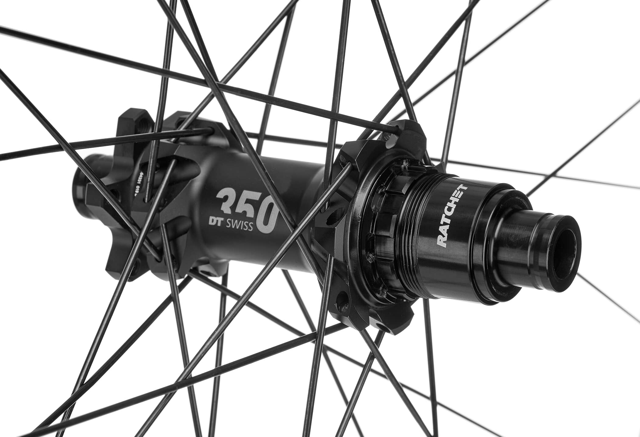 Amazon.com : DT Swiss EX 1700 Spline Rear Wheel - 27.5