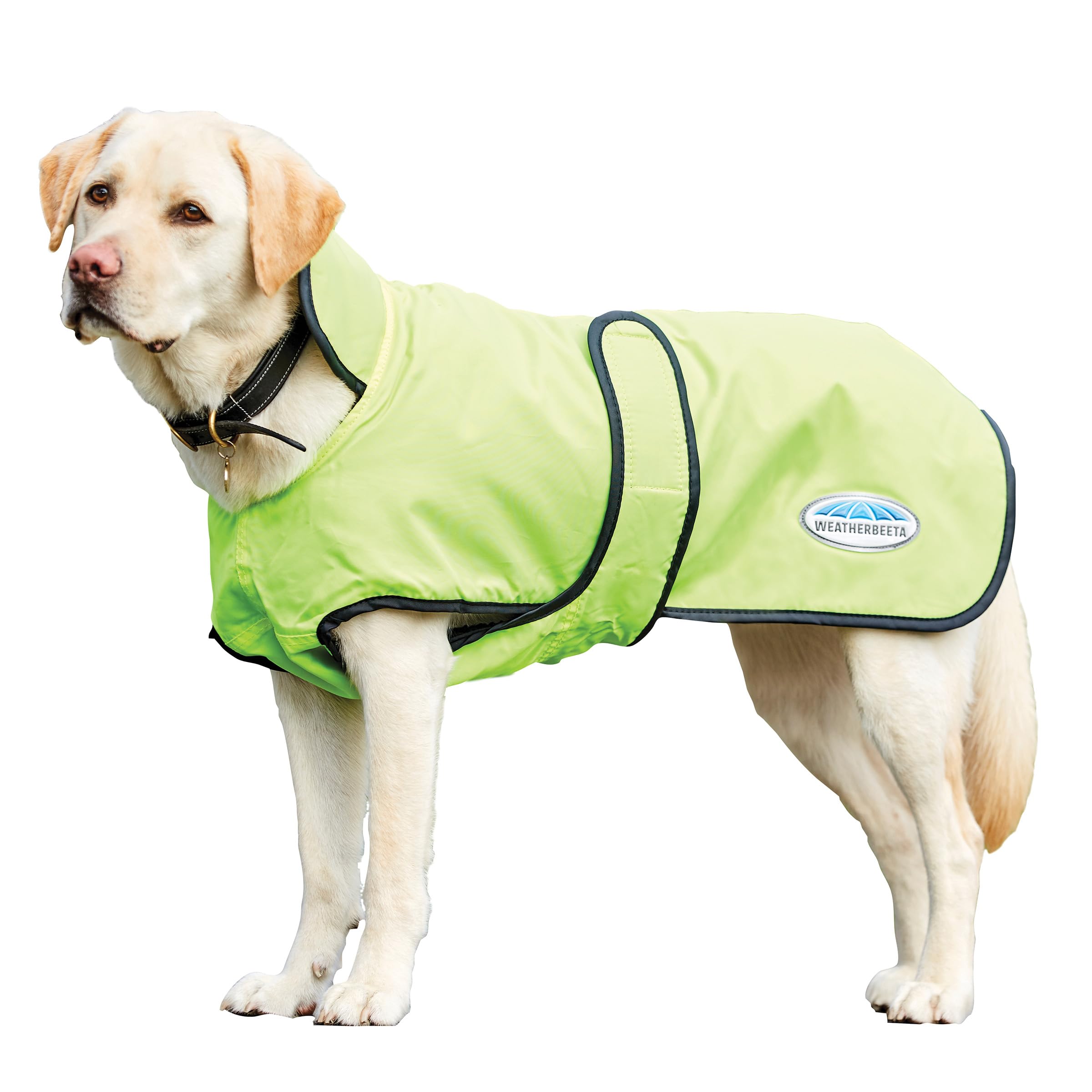 Manteau coupe-vent pour chien Weatherbeeta Comfitec protection 420D