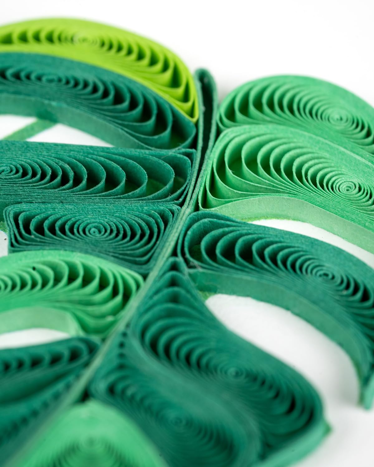 Quilling Green Monstera Pot Plant Lover Hand-Finished Art Greeting Card Frameable Art, Suitable for Framing in a Card Frame - Image 4