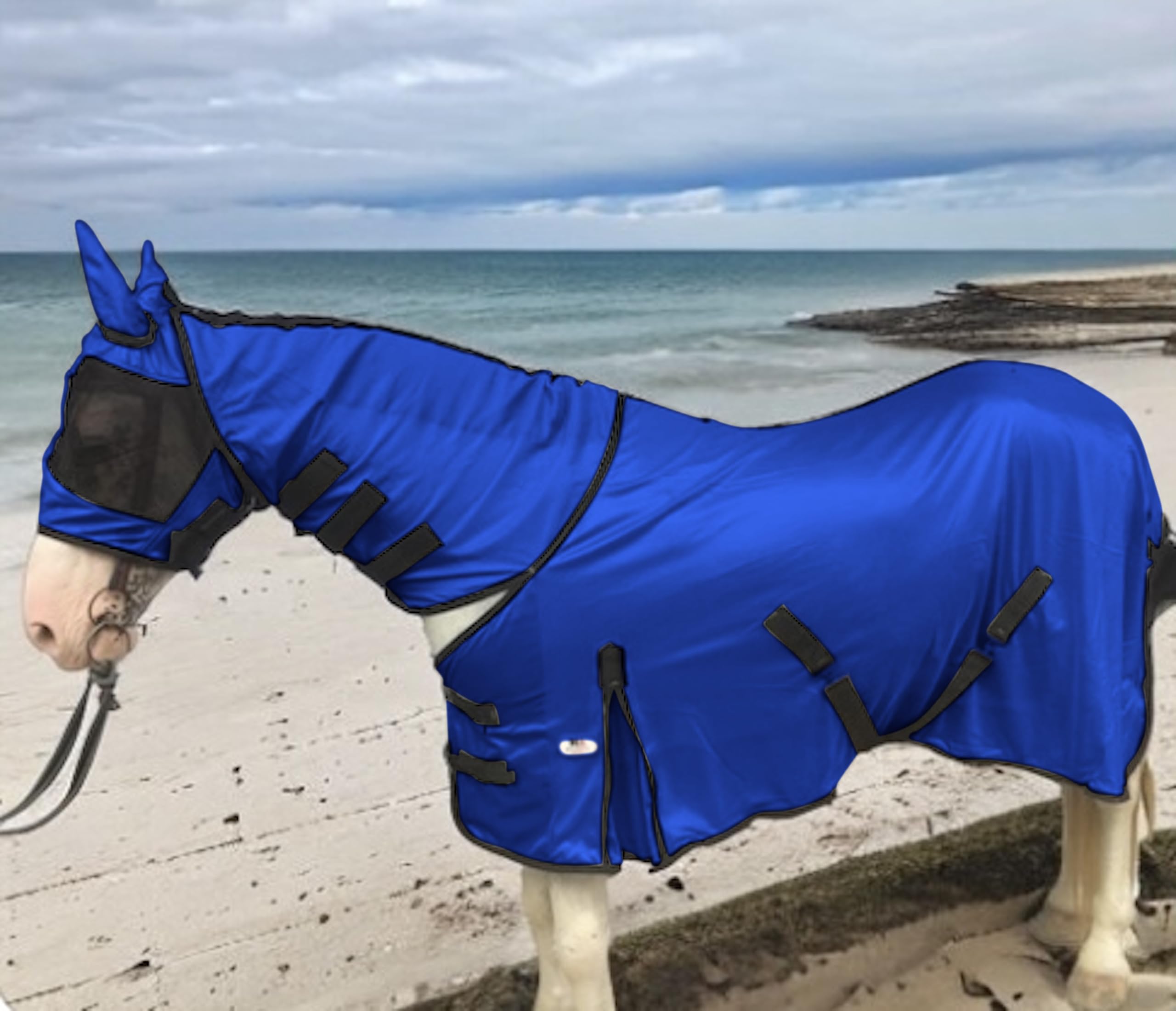 Majestic Ally Horse Fly Sheet with Neck Cover and Head Mask, Breathable UV and Bite Equine Protection, Adjustable Body Straps, Boarding or Turnout Accessory, Contoured Fit (Royal Blue, 72 Inch)