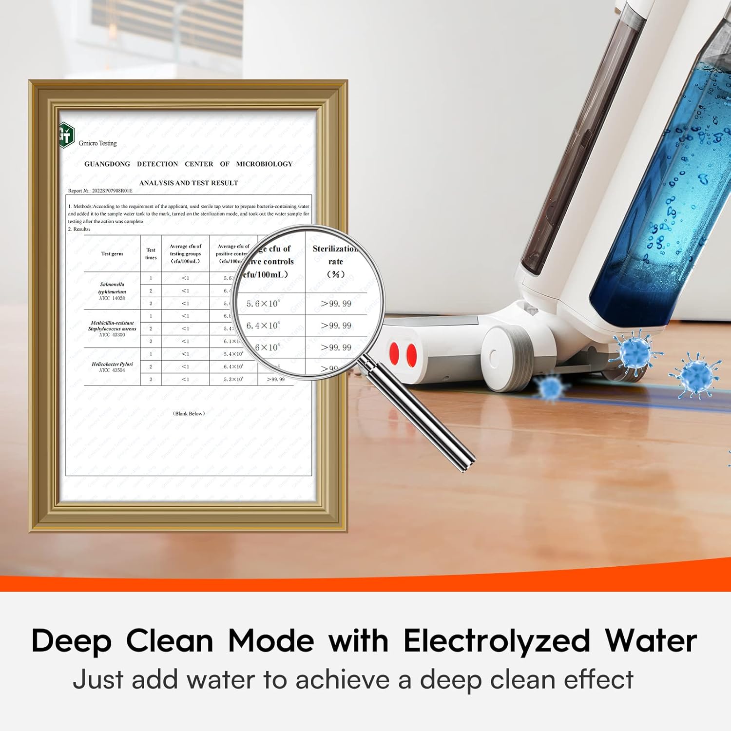 Buy Ultenic Cordless Wet Dry Vacuum Cleaner, AC1 Smart Wet Dry Vac and