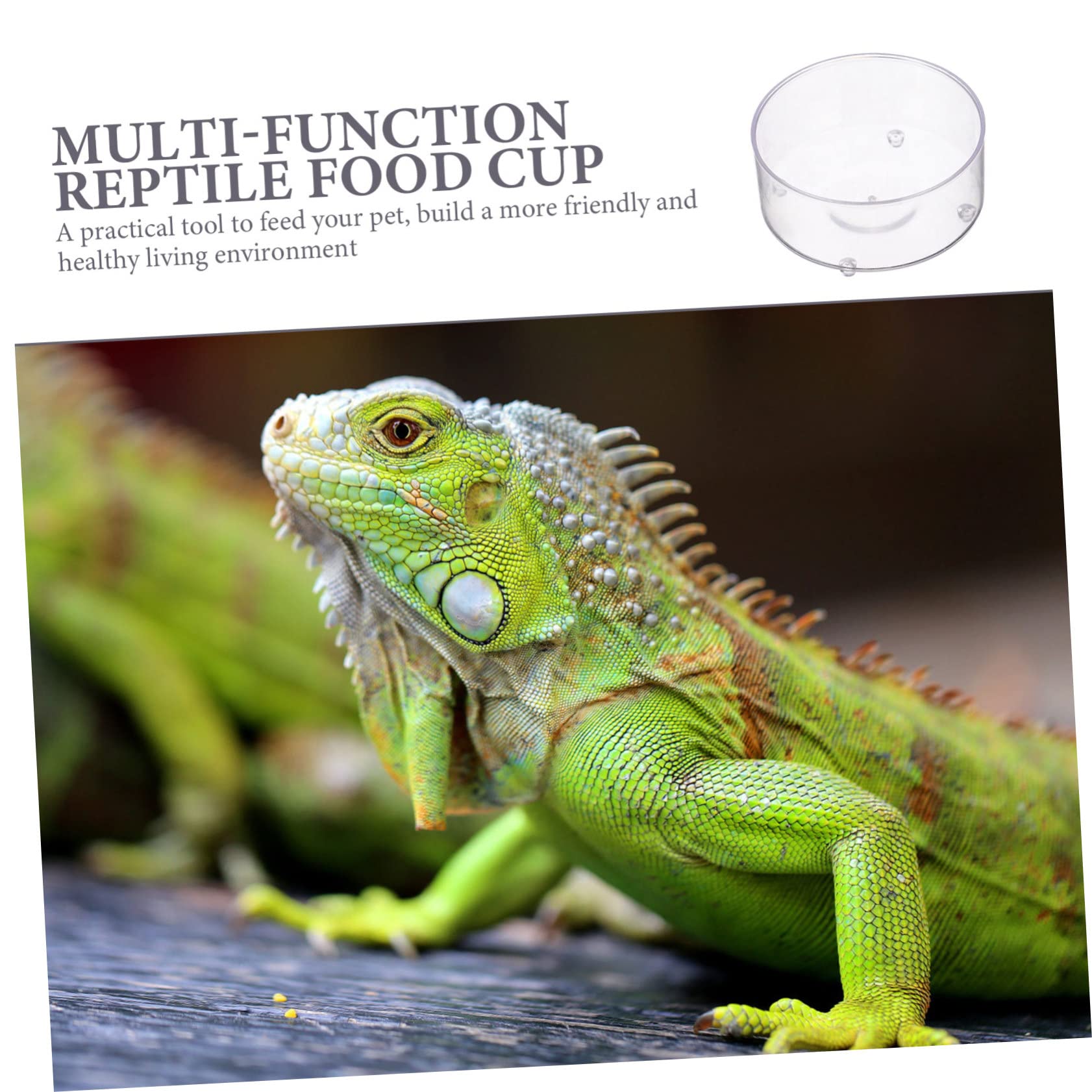 BESPORTBLE 150piezas Tazones Multifuncionales para Reptiles De Comida y Agua para Tortugas Geckos Serpientes y Accesorios para Terrarios para Pequeñas
