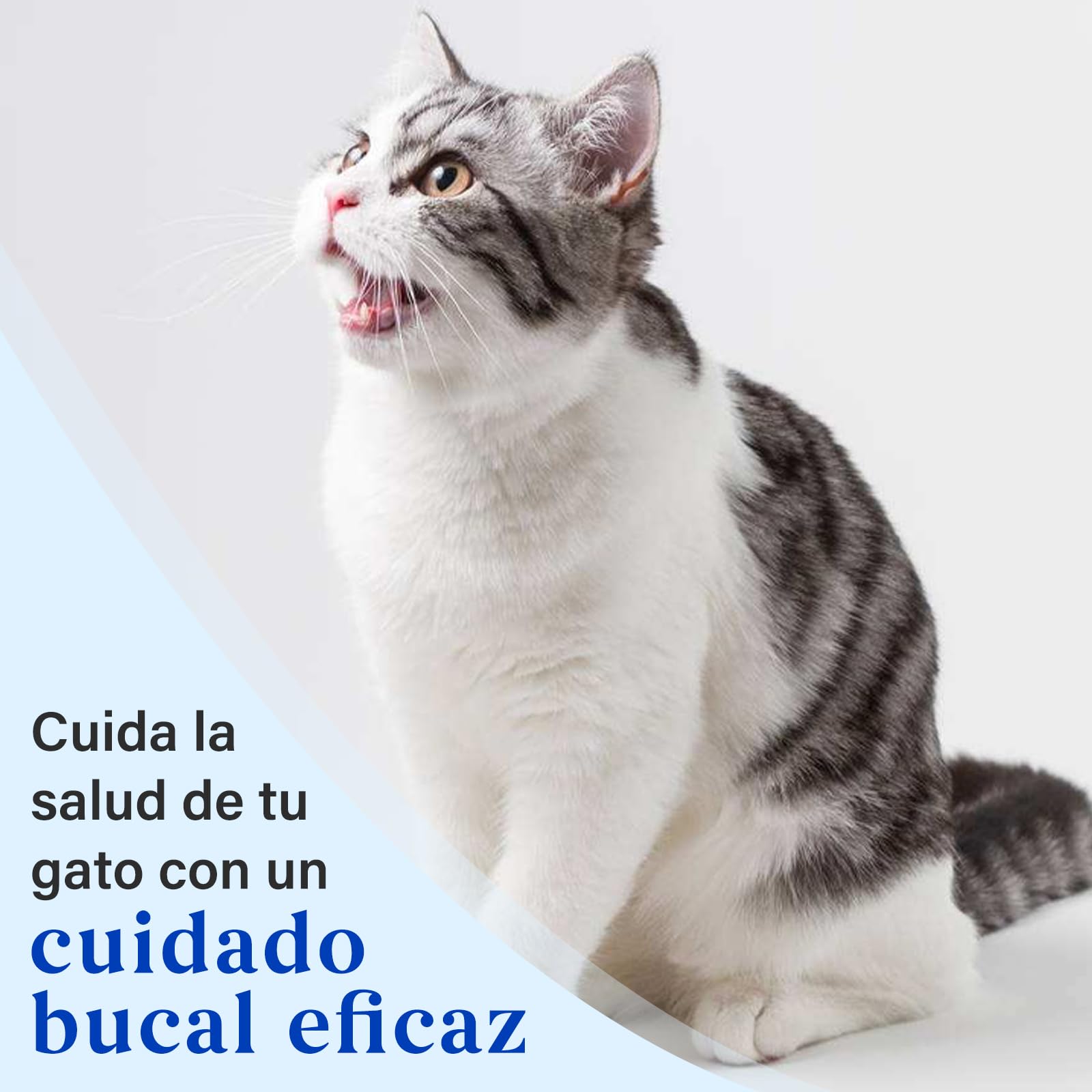 Juego de Cuidado Dental para Gatos, Pasta Dentífrica Sabor Atún 30 g, Incluye 2 Cepillos dientes gato, Fórmula Suave para el Cuidado Dental y un Aliento Fresco