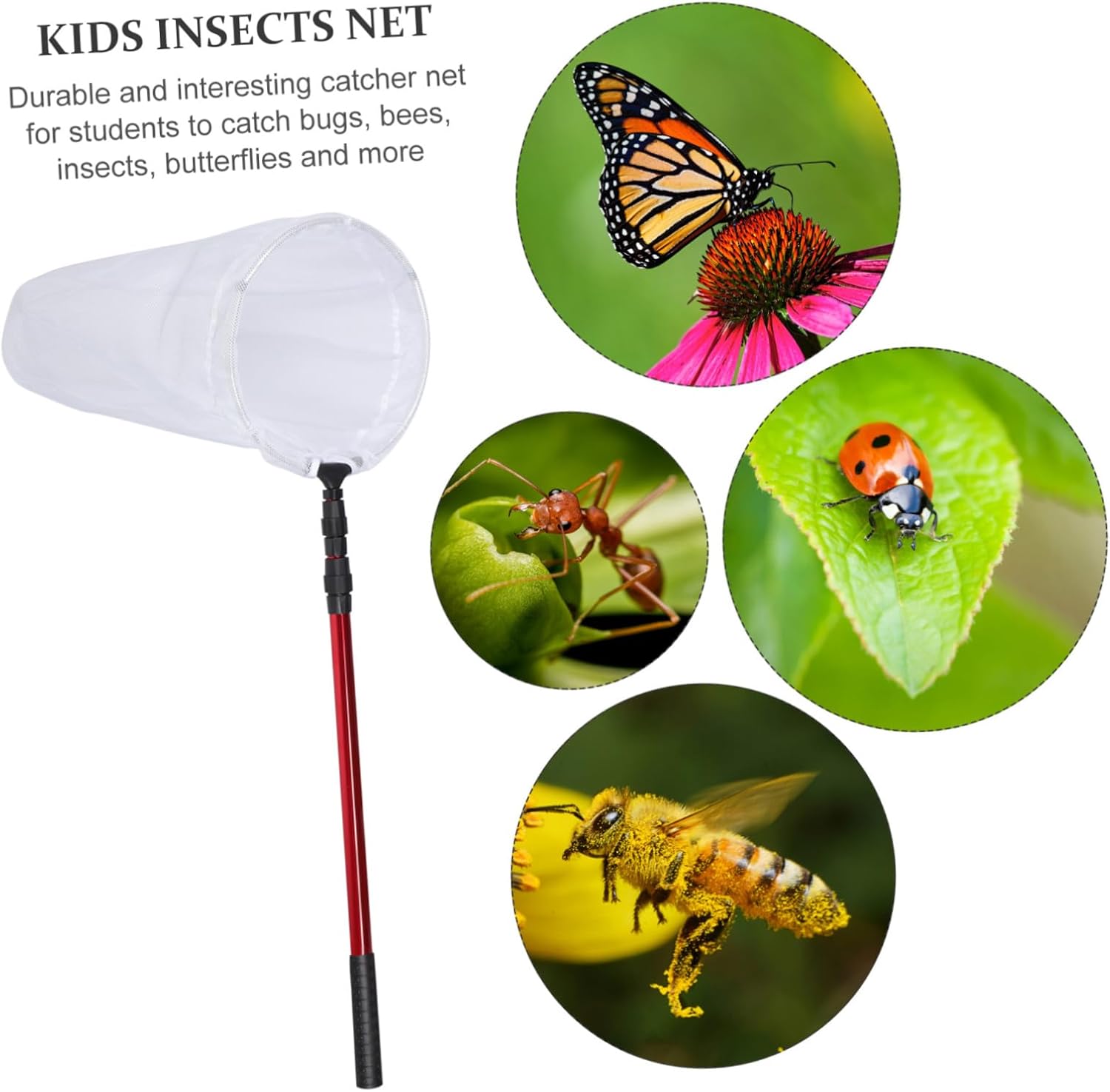 BESPORTBLE Extendable Telescopic Net for Catching Butterflies and Insects Durable Aluminum Alloy Frame Comfortable Non-Slip Handle Outdoor Toy for Boy Girl and Nature Exploration