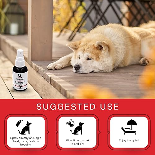Miniatura 4 de Warren London Aceite esencial de primera calidad, espray calmante para perros, relaja y proporciona alivio antiansiedad para perros hiperactivos,