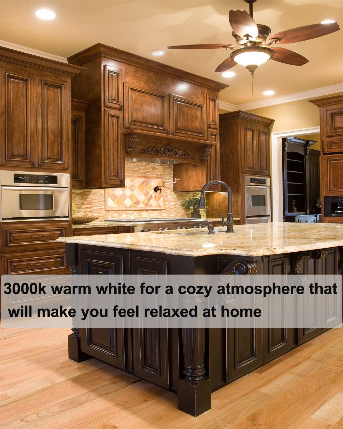 Vinaco PAR20 Halogen Light Bulb Warm White Glow