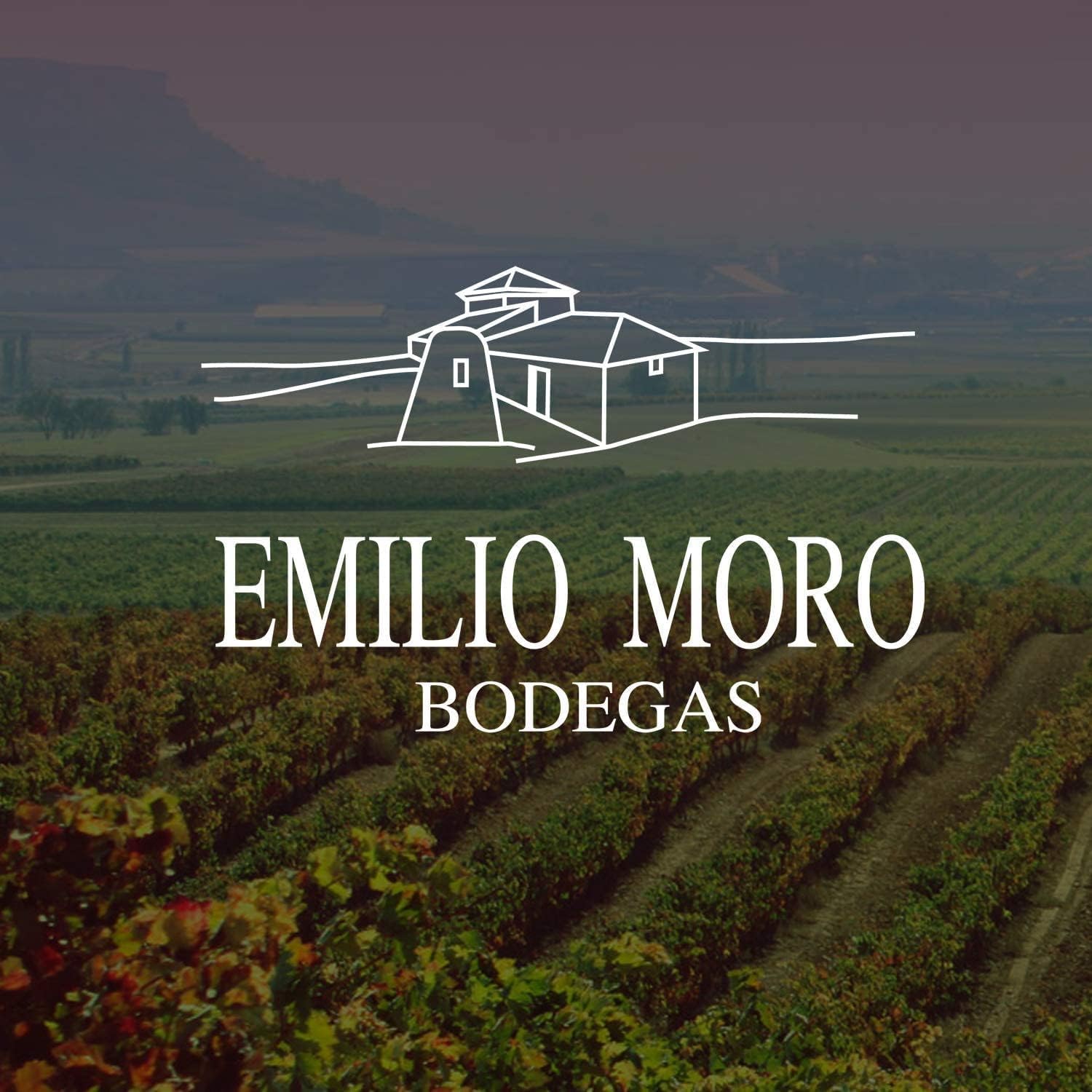 EMILIO MORO - La Felisa, Vino Tinto Ecológico, Tempranillo Fresco sin Sulfitos Añadidos, D.O. Ribera del Duero - Pack de 6 Botellas x 750 ml