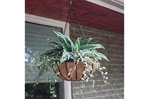 72188 Wrought Iron Traditional Hanging Basket - Border Concepts