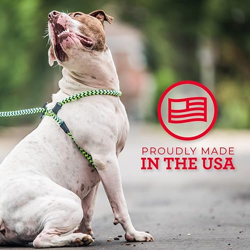 Miniatura 6 de Correa de arnés, correa resistente a escapes, reduce los jalones, arnés para perro