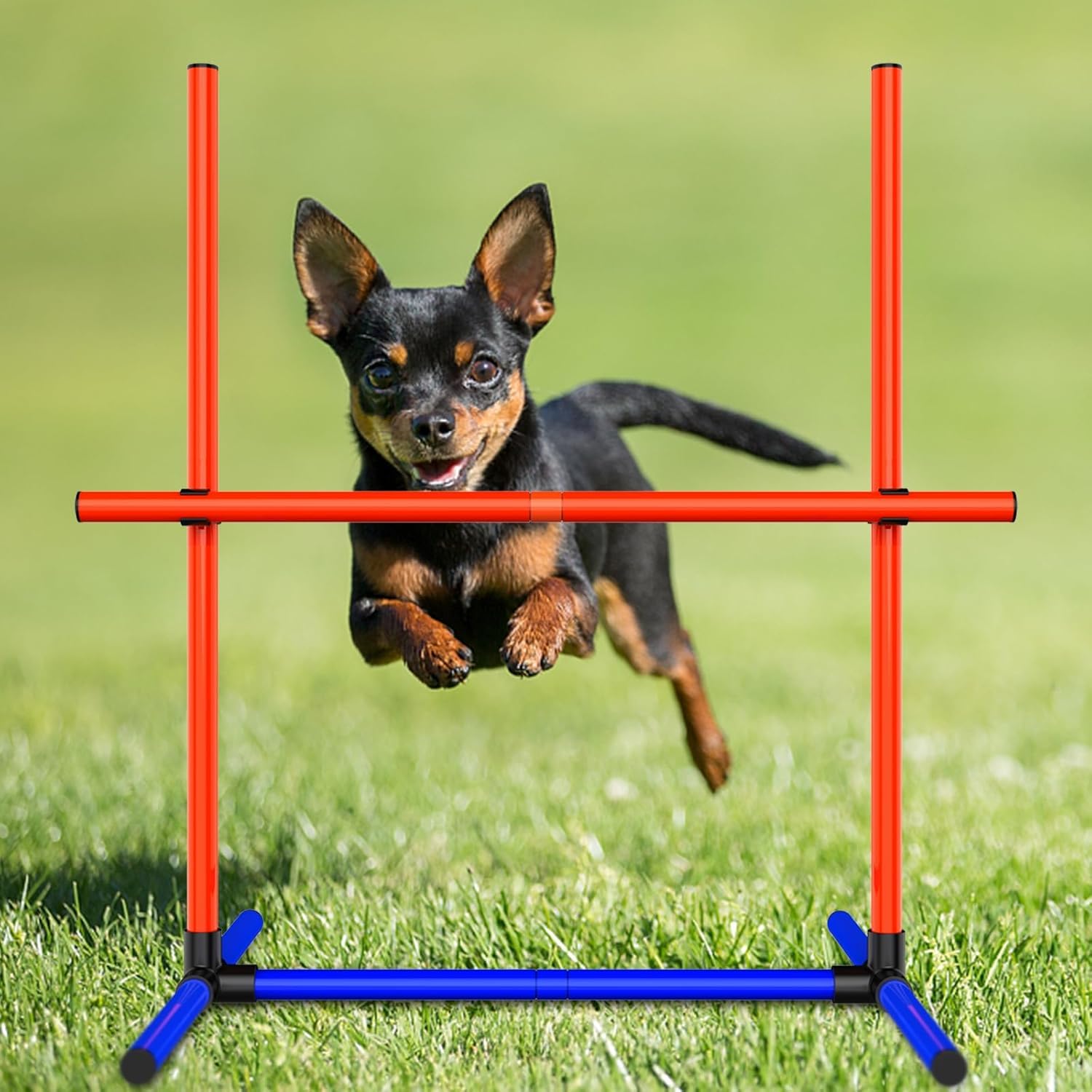 Dog Agility Equipment - Complete Dog Agility Course Backyard Set Including Tunnel & Obstacle Course, Professional Training Equipment for Dogs - image 2